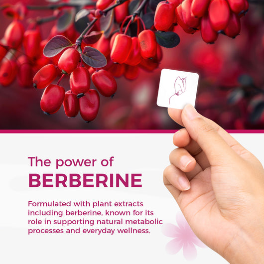 Revivatox Berberine Patches