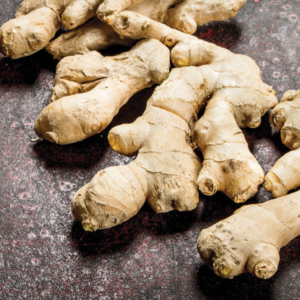 Ginger Extract