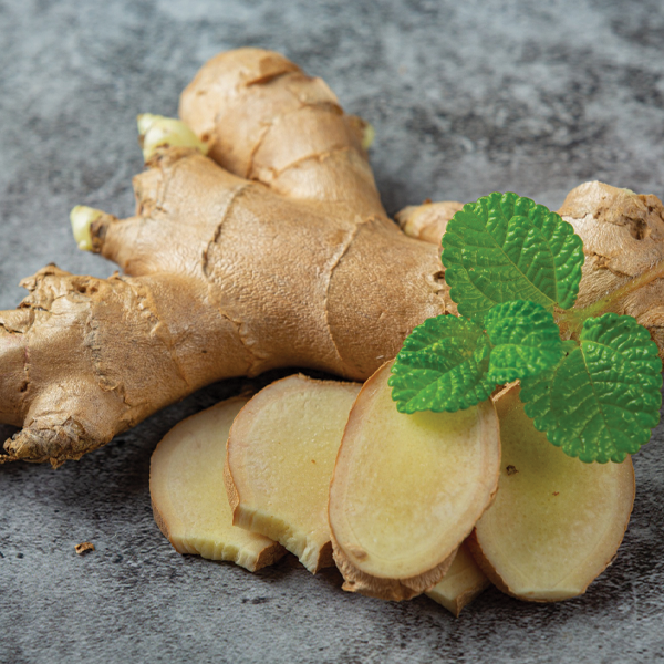 Zingiber Officinale
